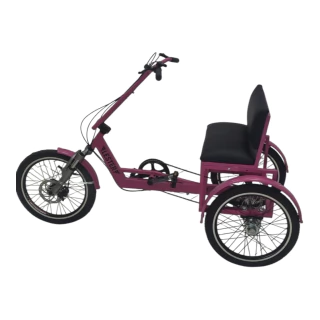 Triciclo adaptado - Niños - comprar online
