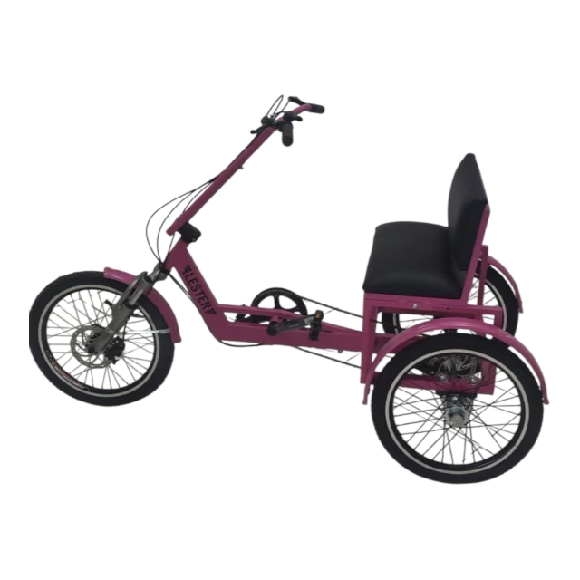 Triciclo adaptado - Niños - comprar online