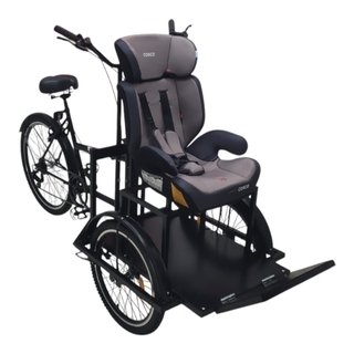 Triciclo Adaptado Butaca Individual Delantera - comprar online