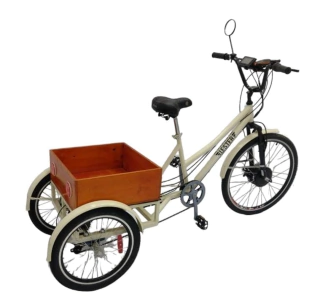 Triciclo Eléctrico de Paseo - comprar online