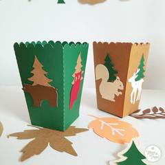 Cajas Pochocleras Animales del bosque x4u