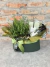 Box Home Garden