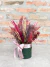Arranjo de Flores Desidratadas Médio