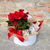 Flores e Aromas