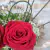 Love Roses na internet