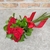 Buquê de 6 rosas (novo) - comprar online