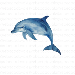 Golfinho Azul Qd - comprar online