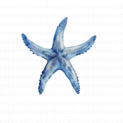 Estrela Azul Qd - comprar online