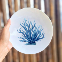 Coral Azul 02 Qd