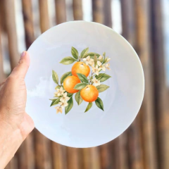 Galhos Laranja Qd