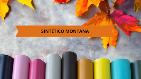 Carrusel Universo da Arte/ Gisele Gonçalves