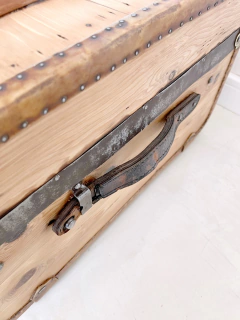 Baul de Viaje ~ Remigio~ - comprar online