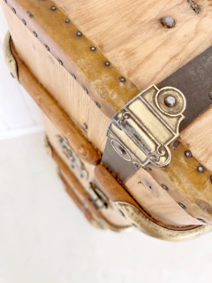 Baul de Viaje ~ Remigio~ en internet