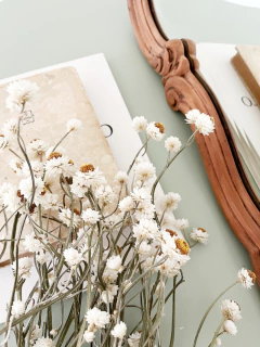 Espejo ~ Rufino ~ - Imantata