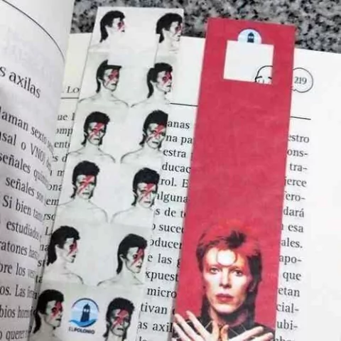 Senalador De Papel Tyvek - Bowie