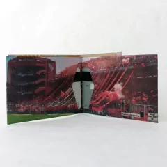 Billetera De Papel Tyvek - Pasión De Hincha Independiente - tienda online