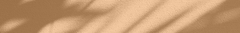 Banner de la categoría Poliester