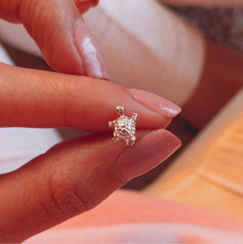 MINIATURA TORTUGA GRANDE (UNIDAD) - comprar online