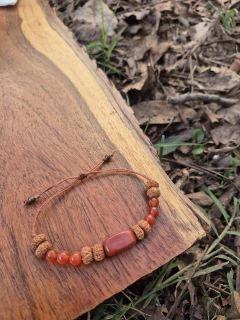 S. De rudraksha y A. Cornalina ( regulable)