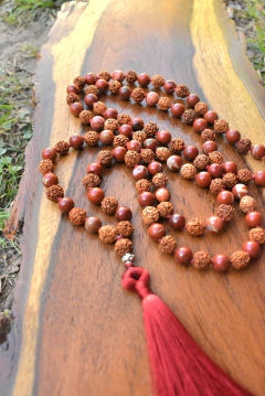 S. De rudraksha y jaspe rojo (8mm) - comprar online