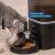 Comedero Smart Automático Para Mascotas Philco Pf005cpp 6 Li Negro en internet