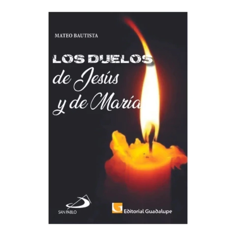 LOS DUELOS DE JESUS Y DE MARIA - comprar online