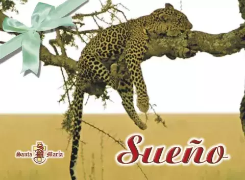 LIBRO TARJETA 01 SUEÑO
