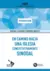 EN CAMINO HACIA UNA IGLESIA CONSTITUTIVAMENTE SINODAL INTRODUCCION - comprar online