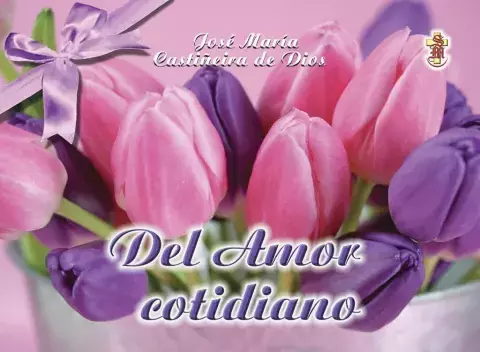 LIBRO TARJETA 23 DEL AMOR COTIDIANO - comprar online