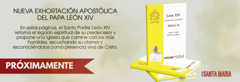 Imagen del carrusel 1