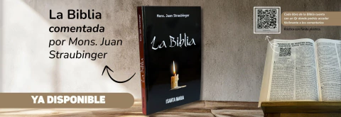 Imagen del carrusel 1