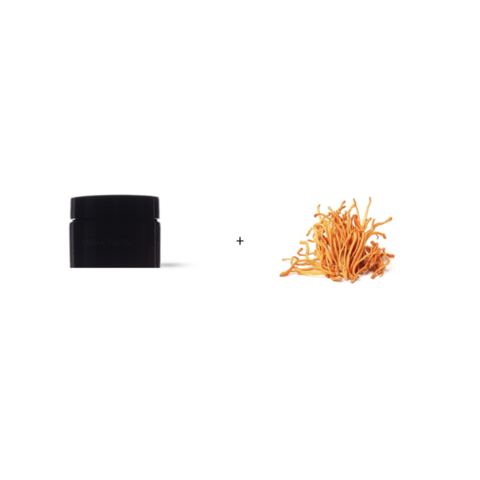 AMANCAY / MASCARILLA DE ALGAS Y CORDYCEPS