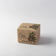 SENTIDA BOTANICA / ACONDICIONADOR