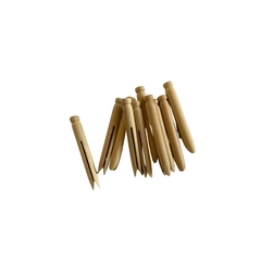 SURI / BROCHES PINZA