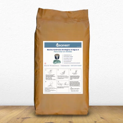 Resina Cerámica Al Agua Para Colar (10kg) - comprar online