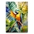 Imagem do Quadro arara Brasil
