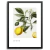 Quadro limão - loja online
