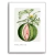 Quadro Melancia - Inspira Decore