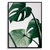 Quadro MONSTERA