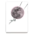 Imagem do Quadro pernas lua