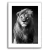 Quadro power face lion - Inspira Decore