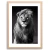 Quadro power face lion na internet