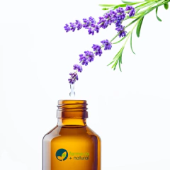 Kit de introducción a la Aromaterapia Aplicada - Convertite en el creador de tus propias fórmulas - comprar online