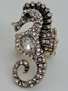 Anillo Hipocampo