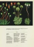 Imagen de BOTANICUM