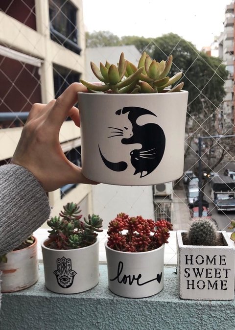 ♡ Gatitos Yin y Yang