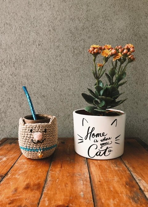 ♡ Home is where you cat is