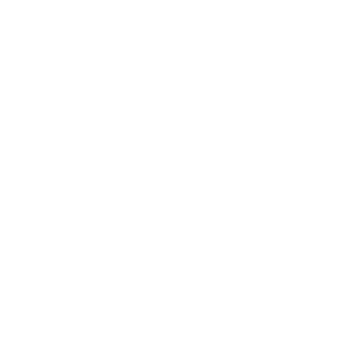 RARA joyeria