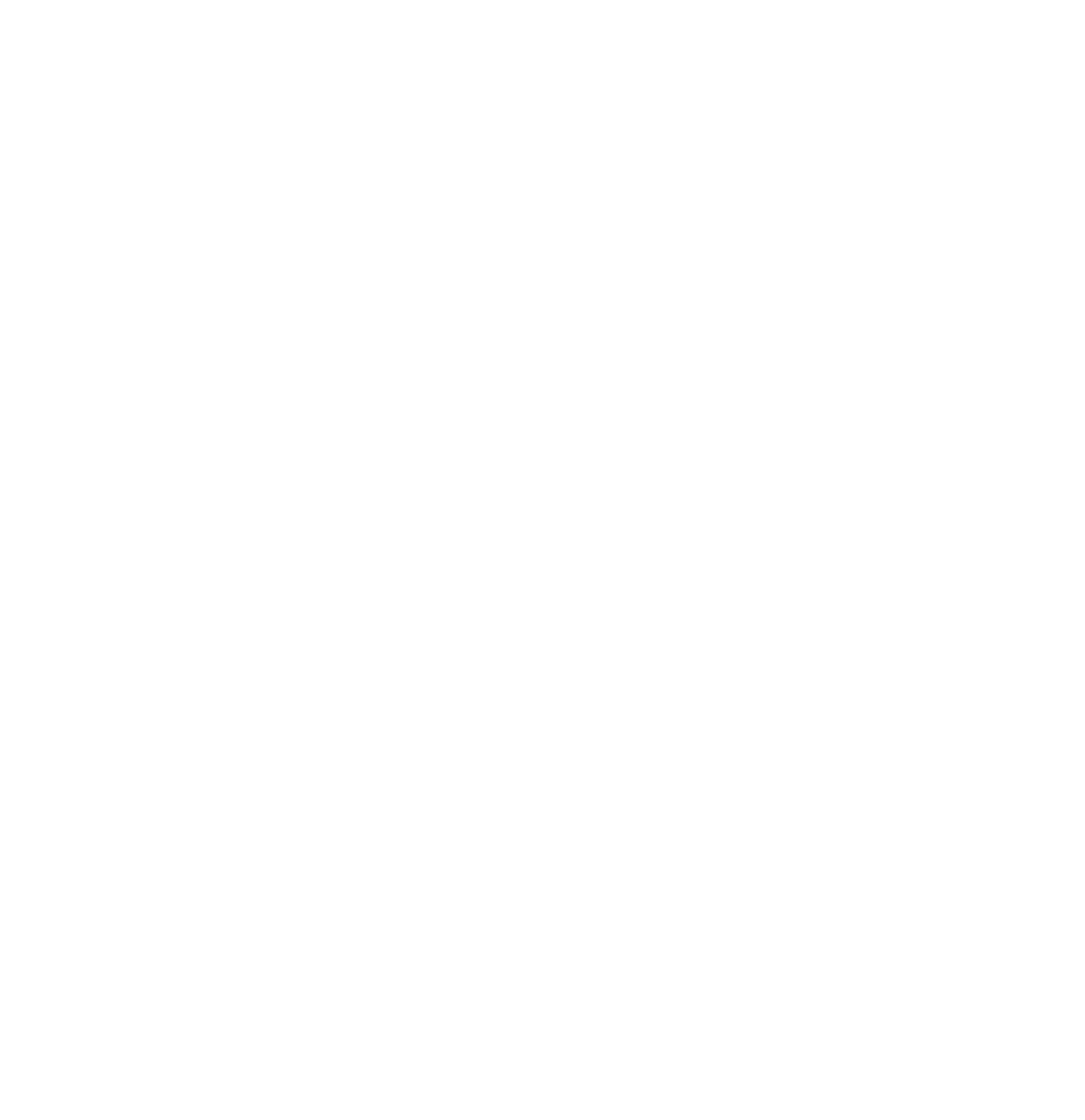 RARA joyeria