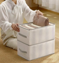Organizador Ropa Placard 9 Divisiones con Manija en internet